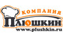 Плюшкин