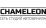 Студия автовинила Хамелеон